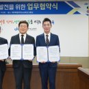 제주가 이미지