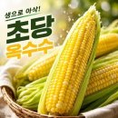 우가네 쇼핑하우