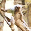 부경렌즈 이미지