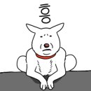 신발신은 강아지 이미지