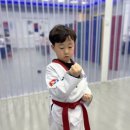 국가대표 연세태권도장 이미지