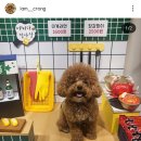 댕스포유 이미지