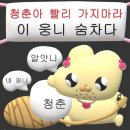 청춘소주방 네이버블로그