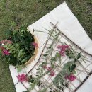 견우와직녀 이미지