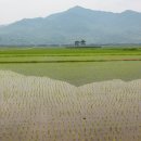 시의향기 - (568) 한 걸음만 느리게 살면 인생도 맛있습니다/ 시 읽는 농부 공상균 이미지