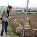 달천농장 이미지