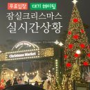 미추홀구푸드마켓2호점 | 잠실 롯데타워 크리스마스 마켓 무료입장 예약 방법 대기 찐후기 ❤️🎄