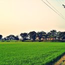 상주 조공제 이미지