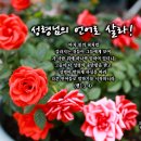 PICTURE&amp;TEXT_20260524_성령님의 언어로 살라!_사도행전 2장 3-4절_성령 강림 주일 묵상_우리 동네의 장미꽃 이미지
