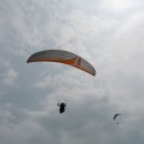 신안장수 이미지