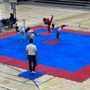 세교한국태권도장 이미지