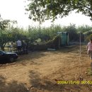 동네농장 이미지