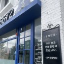 3H전주효자센타 | 전주 효자동물병원 - 노견, 노령견 진료 검진 후기..