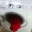 다운세탁 이미지