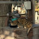 동민농장 이미지