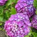 지에스25 울산장생포 이미지