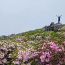 소백산 철쭉산행 이미지