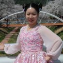 문경벚꽃축제 (3월29일부터~ ) 이미지