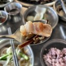 제주흑돼지감성돈협재