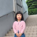 초원사랑어린이집 이미지