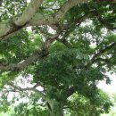 법성포 숲쟁이공원 이미지