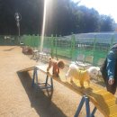 울산 이승진동물병원 이미지