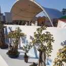 황산 | 가을힐링의정석, 여유 넘치는 양산황산공원 국화축제 후기