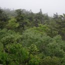 지리산상회 Daum카페