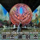 파도길 65 | 가볼만한곳 미디어아트 실내전시회! 사진촬영부터 무료셔틀 주차꿀팁까지 총정리 (내돈내산 솔직후기)
