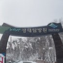 영주오락실 | 영주 소백산생태탐방원 6인실 복층 객실 편의시설 가격 영주펜션 영주저렴한 숙소