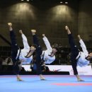 선 태권도 이미지