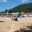 대룡초교 이미지