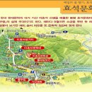 2017년9월3일---제15차 정기산행강원/태기산,봉평메밀꽃축제 이미지