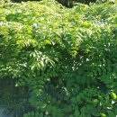 신구농장 이미지