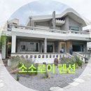 소소로이 | 제주도 중문근처 숙소 가족펜션 소소로이 솔직후기 !