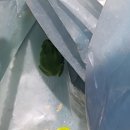 하랑농장 이미지