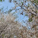 외갓집농장 이미지