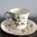 도그 블라썸 이미지