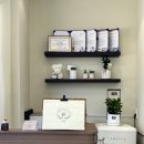 메모르드몽 이미지