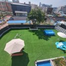 포포퍼피 이미지