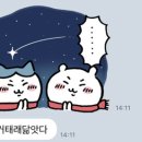 냥이루!! ♡(=^･ω･^=) 이미지