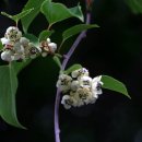 개울옆길 이미지