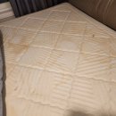 씨유 세종마스터힐스1차점 | 대전 도룡동 매트리스청소 강아지 오줌얼룩제거 및 대처방법