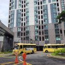 호림태권도장 이미지