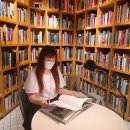 신기트래블