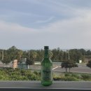 영록농장 | 효리네민박 가볼만한곳 3대가 같이 떠난 1월 제주여행