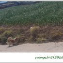 궁한옥민박 이미지