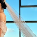 대디마인드 이미지