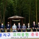 와룡지구 이미지