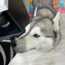 청량리블루스 | 2025 연말정산 + 회고